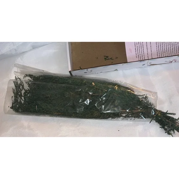 Preserved Real Pine Leaves Branches - 17'' Natural Arrangements Holiday‎ - Picture 4 of 4